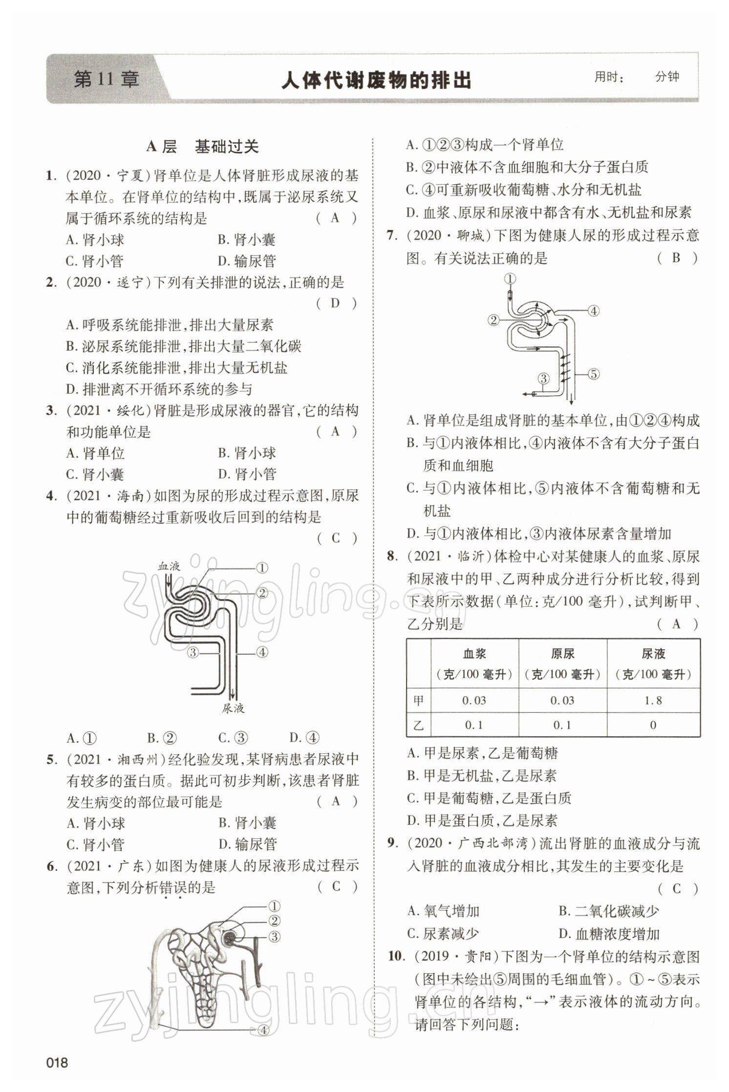 2022年中考状元生物北师大版&nbsp;参考答案第18页