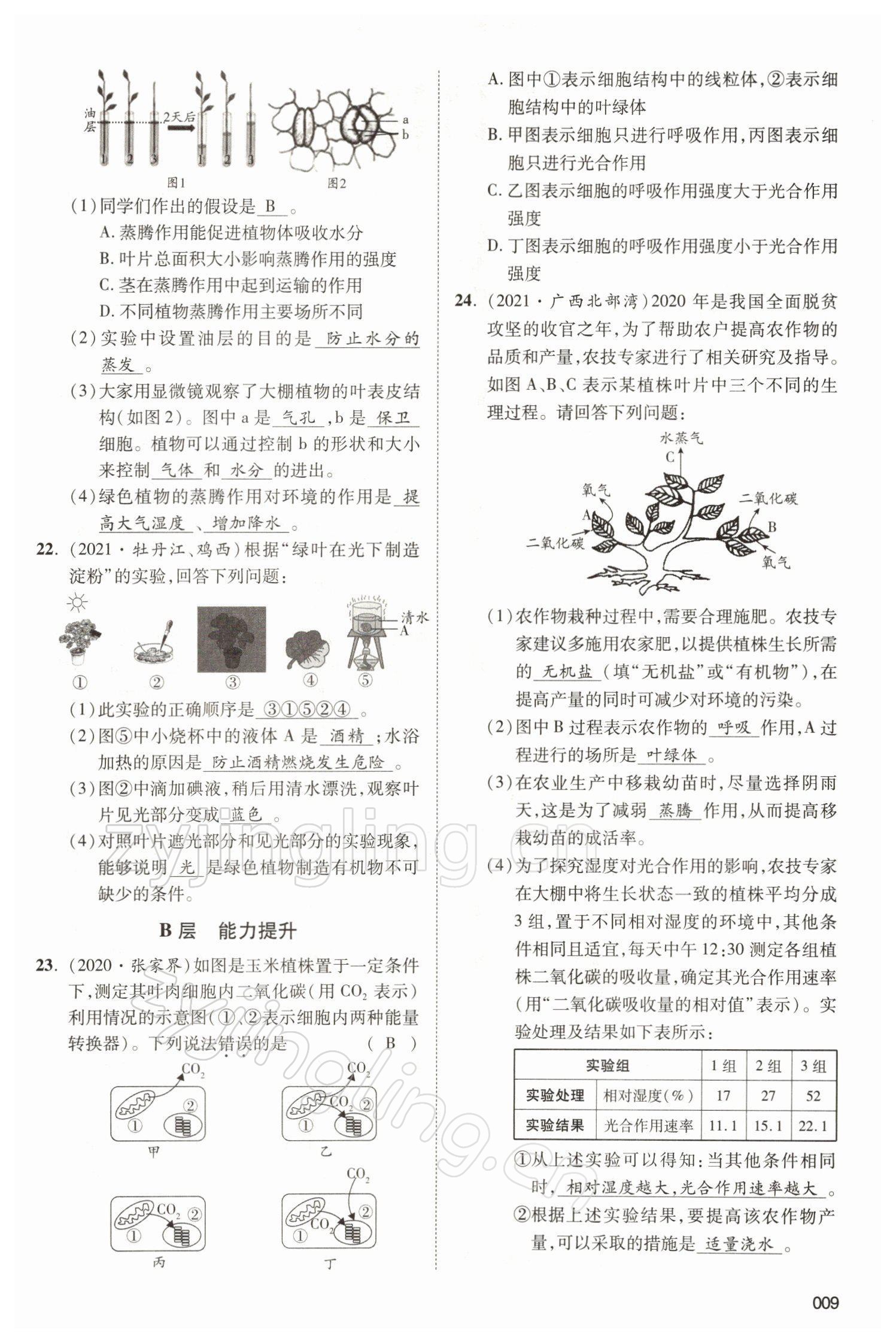 2022年中考状元生物北师大版&nbsp;参考答案第9页