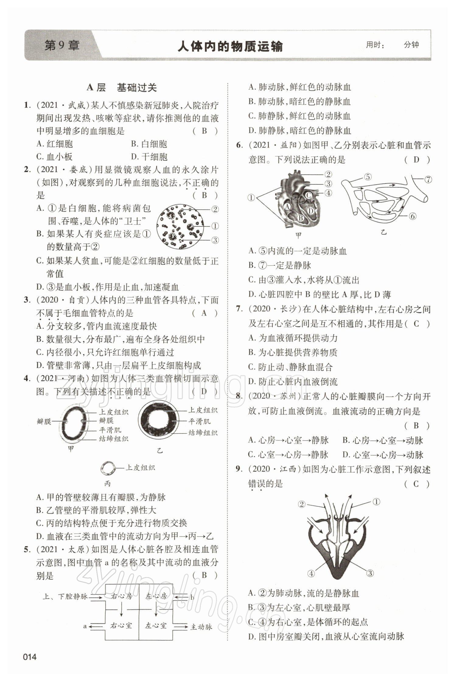 2022年中考状元生物北师大版&nbsp;参考答案第14页