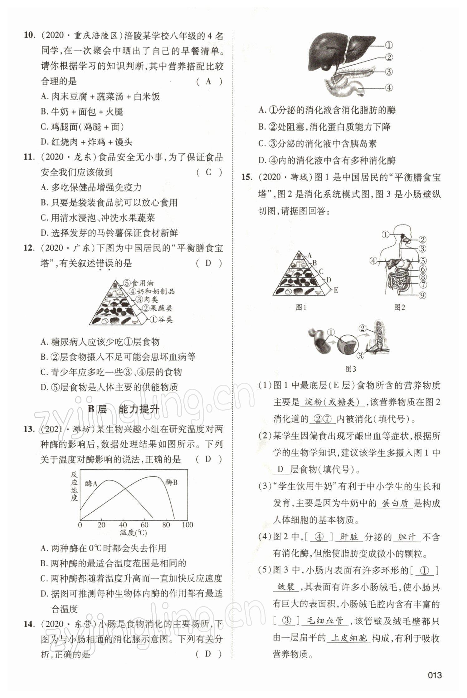 2022年中考状元生物北师大版&nbsp;参考答案第13页