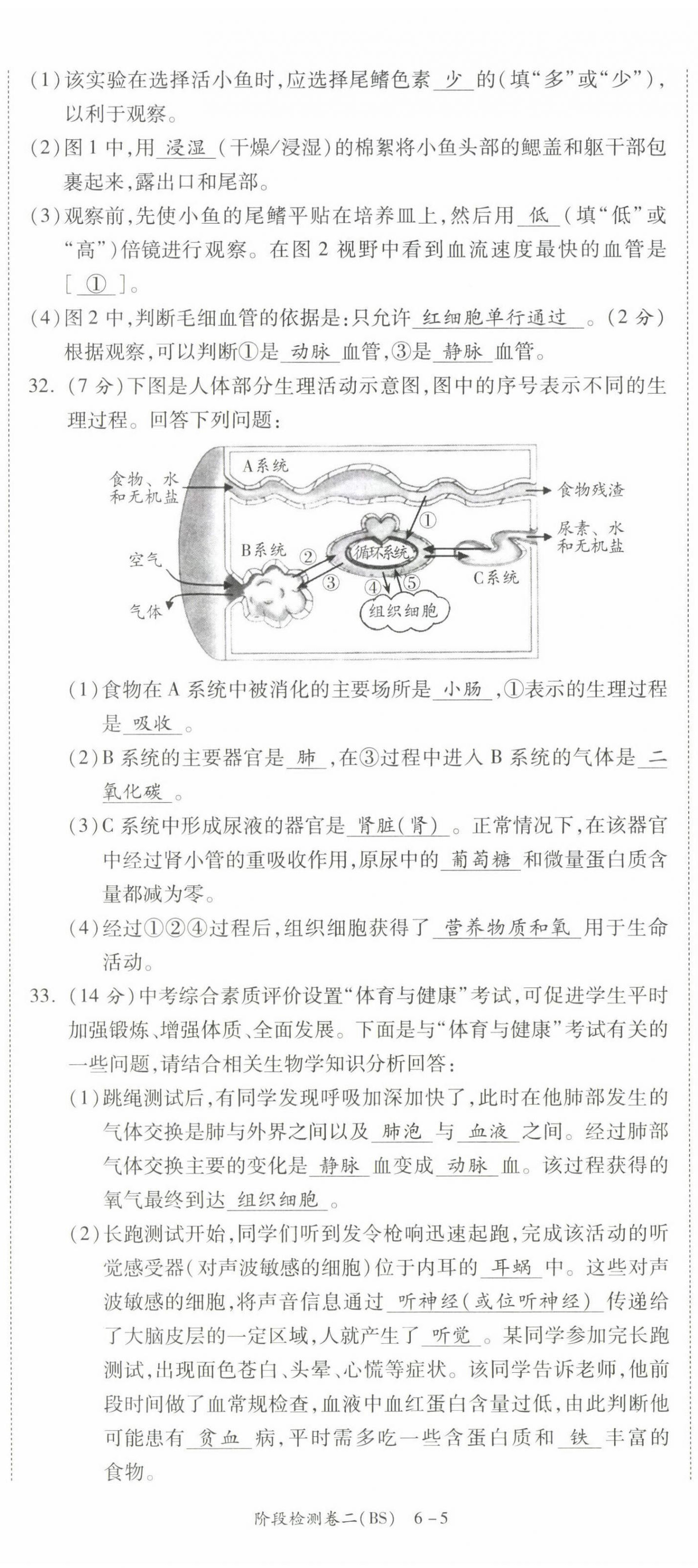 2022年中考状元生物北师大版&nbsp;第11页