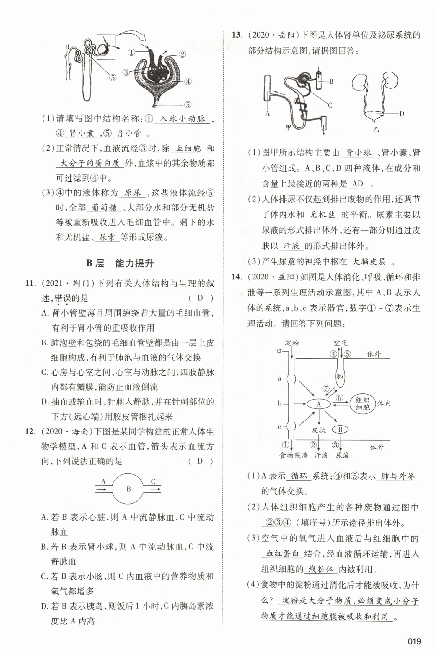 2022年中考状元生物北师大版&nbsp;参考答案第19页