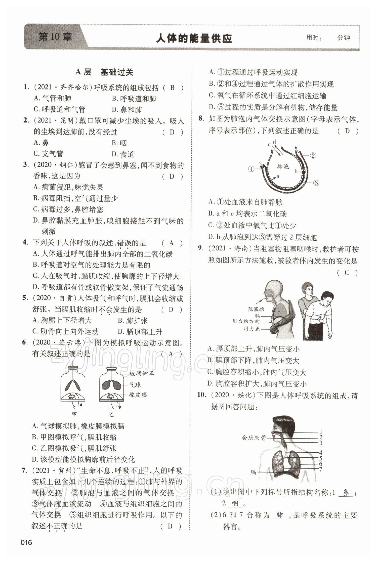 2022年中考状元生物北师大版&nbsp;参考答案第16页