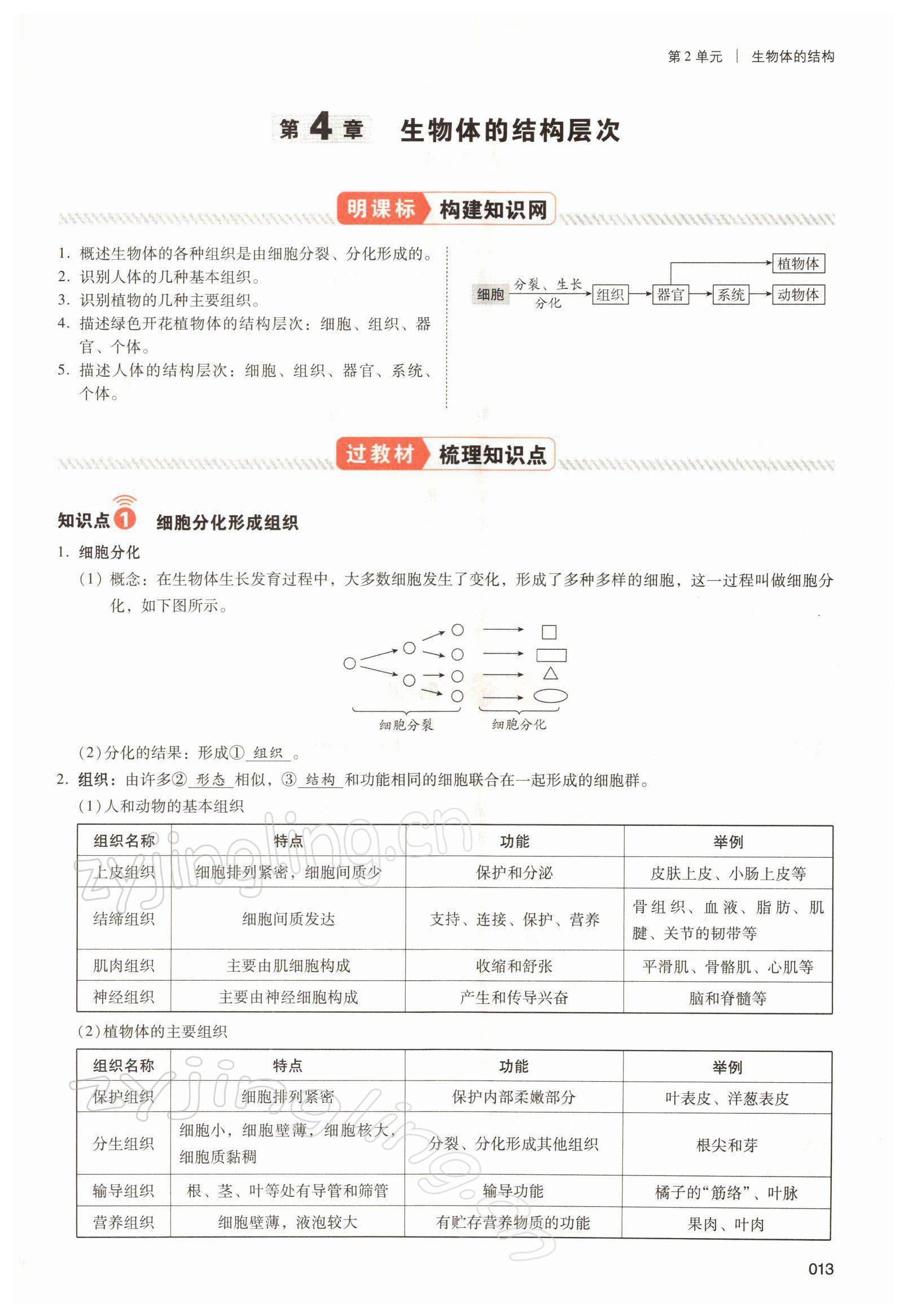 2022年中考状元生物北师大版&nbsp;参考答案第13页
