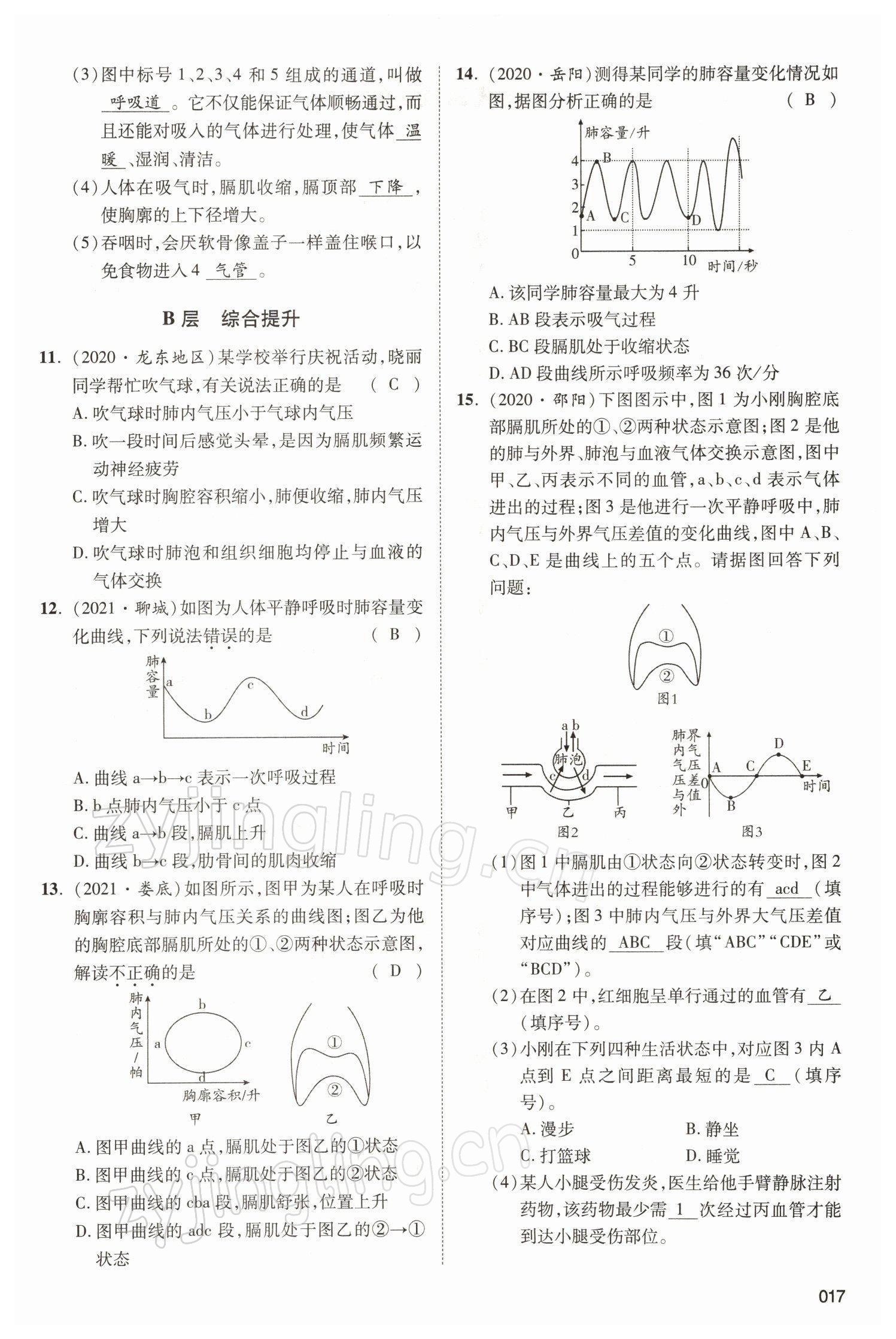 2022年中考状元生物北师大版&nbsp;参考答案第17页