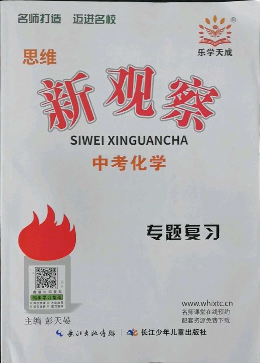 2022年思维新观察中考化学