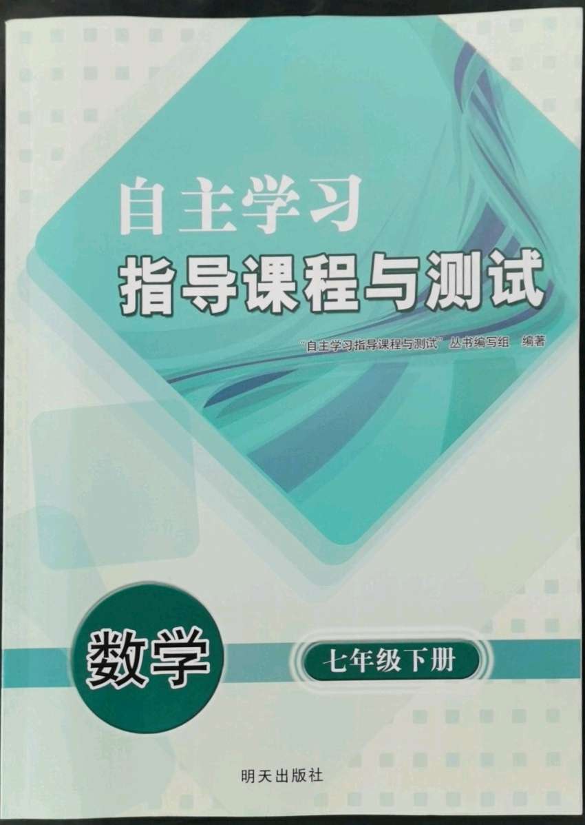 2022年自主学习指导课程与测试七年级数学下册人教版