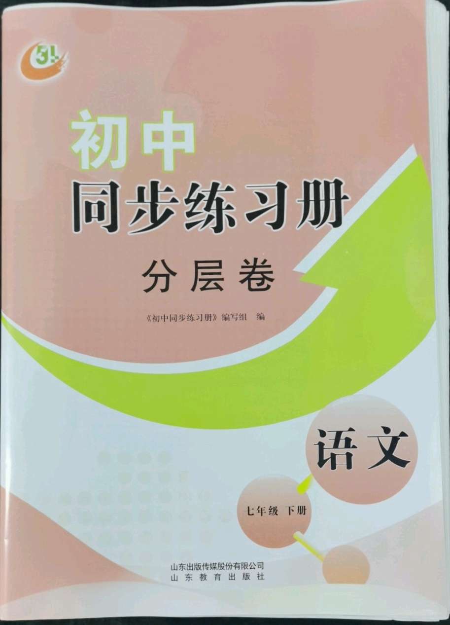 2022年同步练习册分层卷七年级语文下册人教版54制