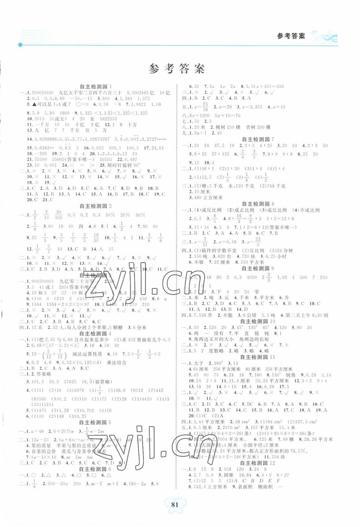 2022年大显身手小学知识总复习指导与检测数学B版河池专版&nbsp;第1页