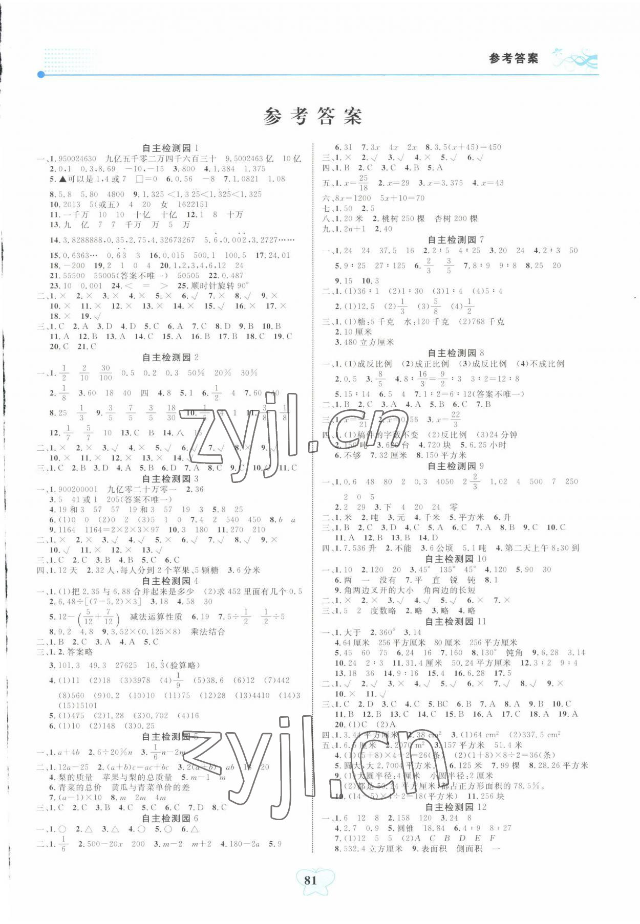 2022年大显身手小学知识总复习指导与检测数学B版百色专版&nbsp;第1页