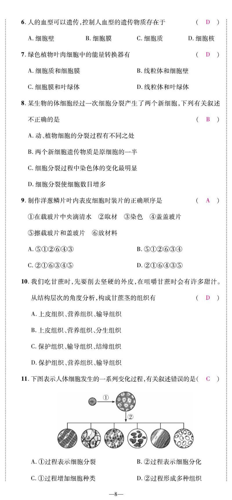 2022年我的作业七年级生物上册苏教版&nbsp;第8页