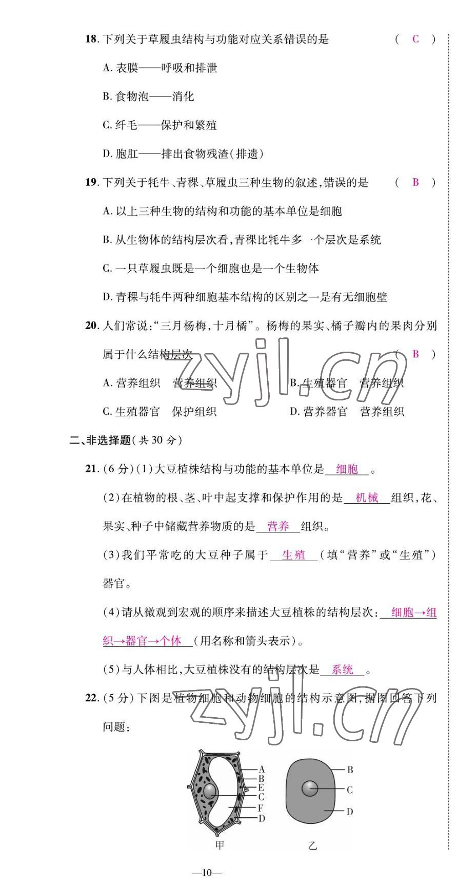 2022年我的作业七年级生物上册苏教版&nbsp;第10页