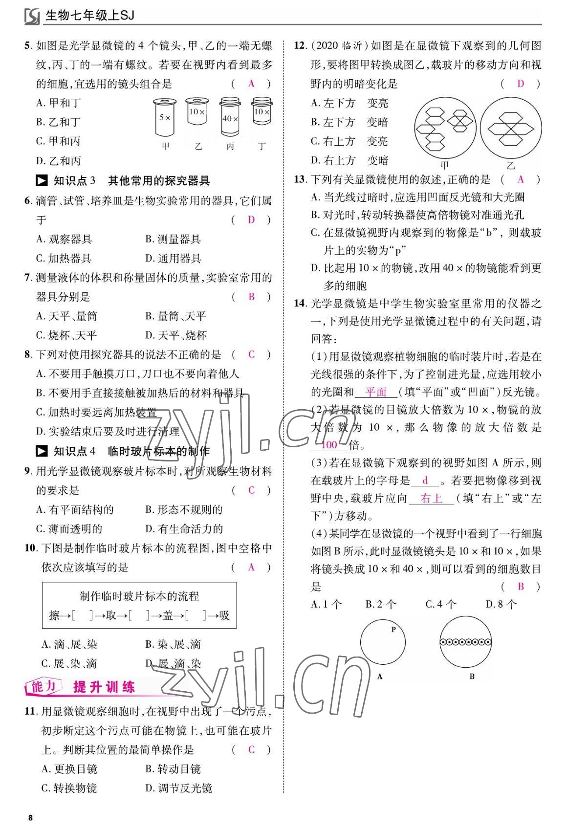 2022年我的作业七年级生物上册苏教版&nbsp;参考答案第8页