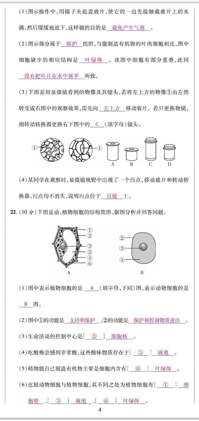 2022年我的作业七年级生物上册北师大版&nbsp;第11页