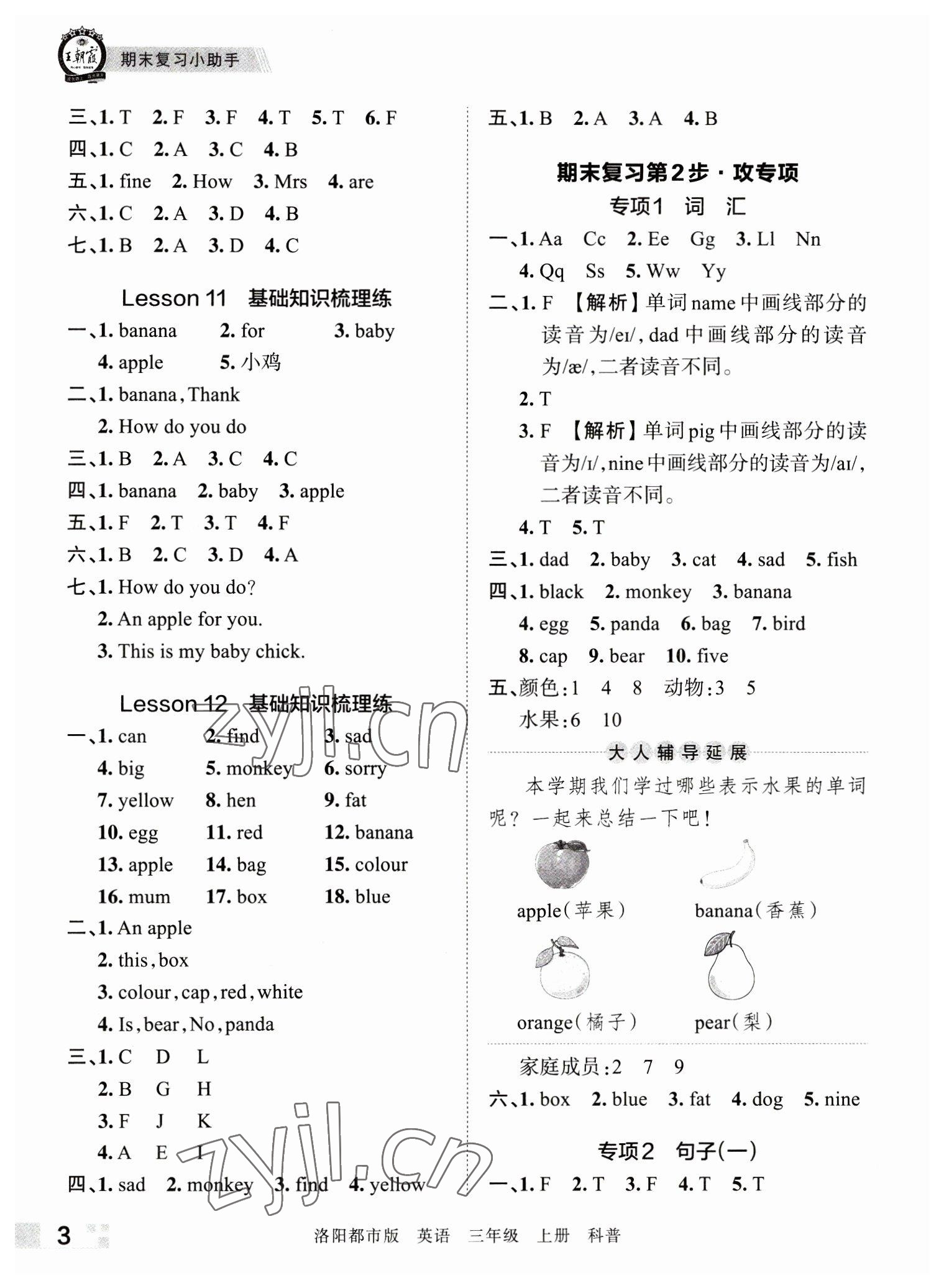 2022年王朝霞各地期末试卷精选三年级英语上册科普版洛阳专版&nbsp;参考答案第3页