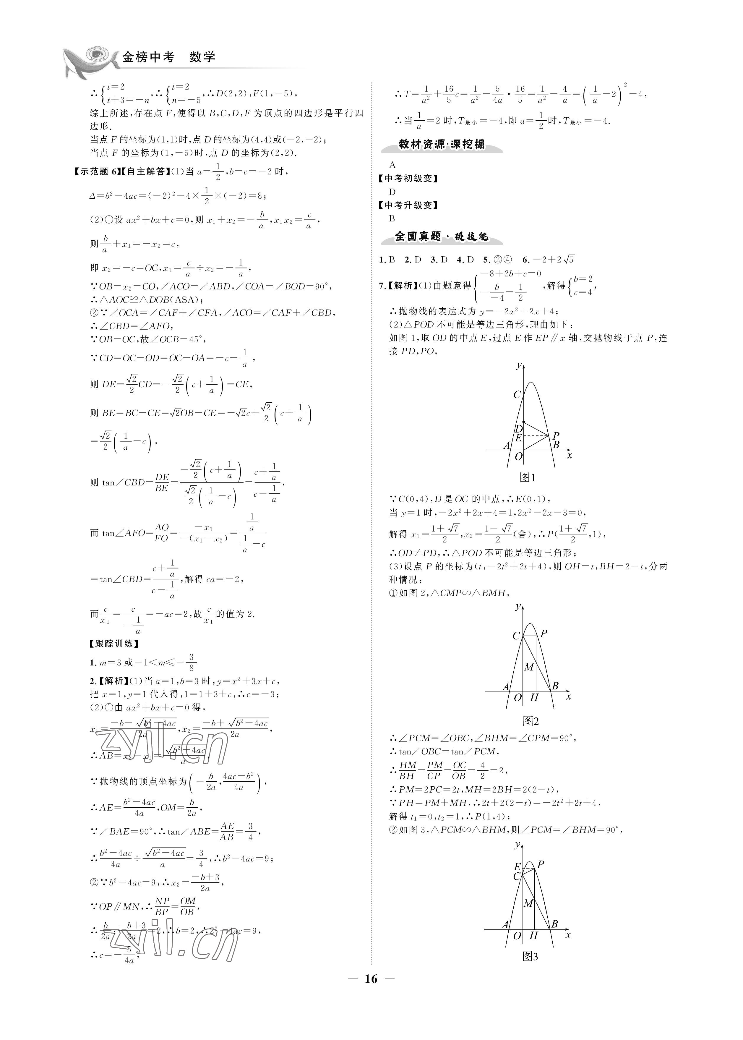 2023年世纪金榜金榜中考数学湘教版邵阳专版&nbsp;参考答案第16页