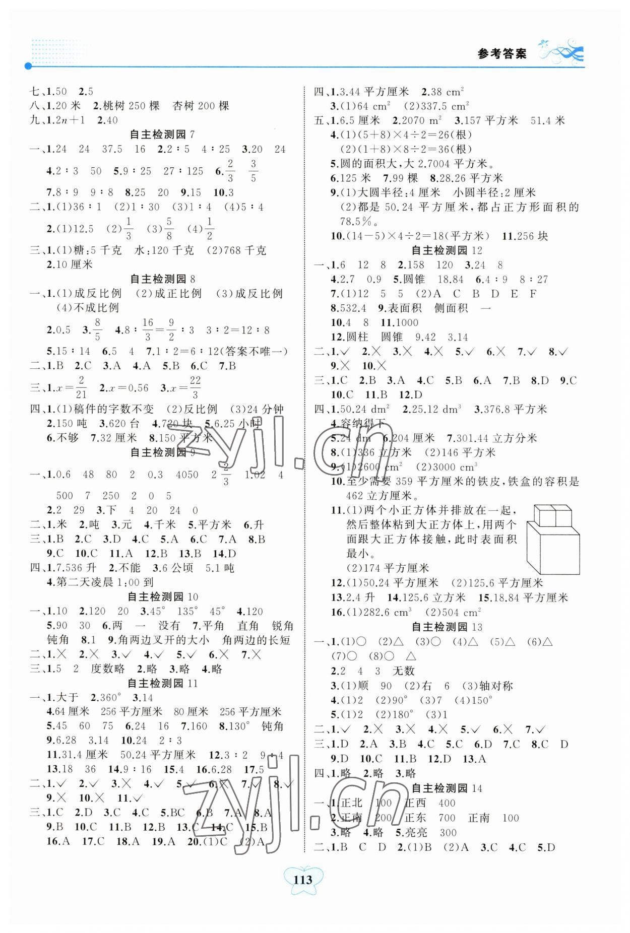 2023年大显身手小学知识总复习指导与检测数学人教版B版&nbsp;参考答案第2页