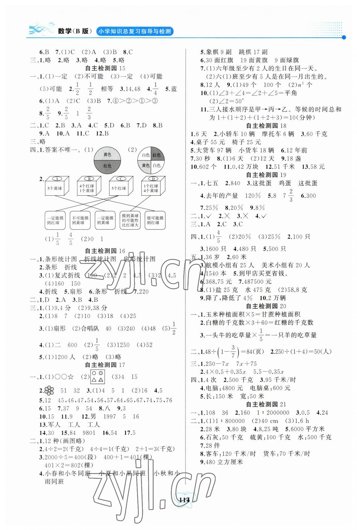 2023年大显身手小学知识总复习指导与检测数学人教版B版&nbsp;参考答案第3页