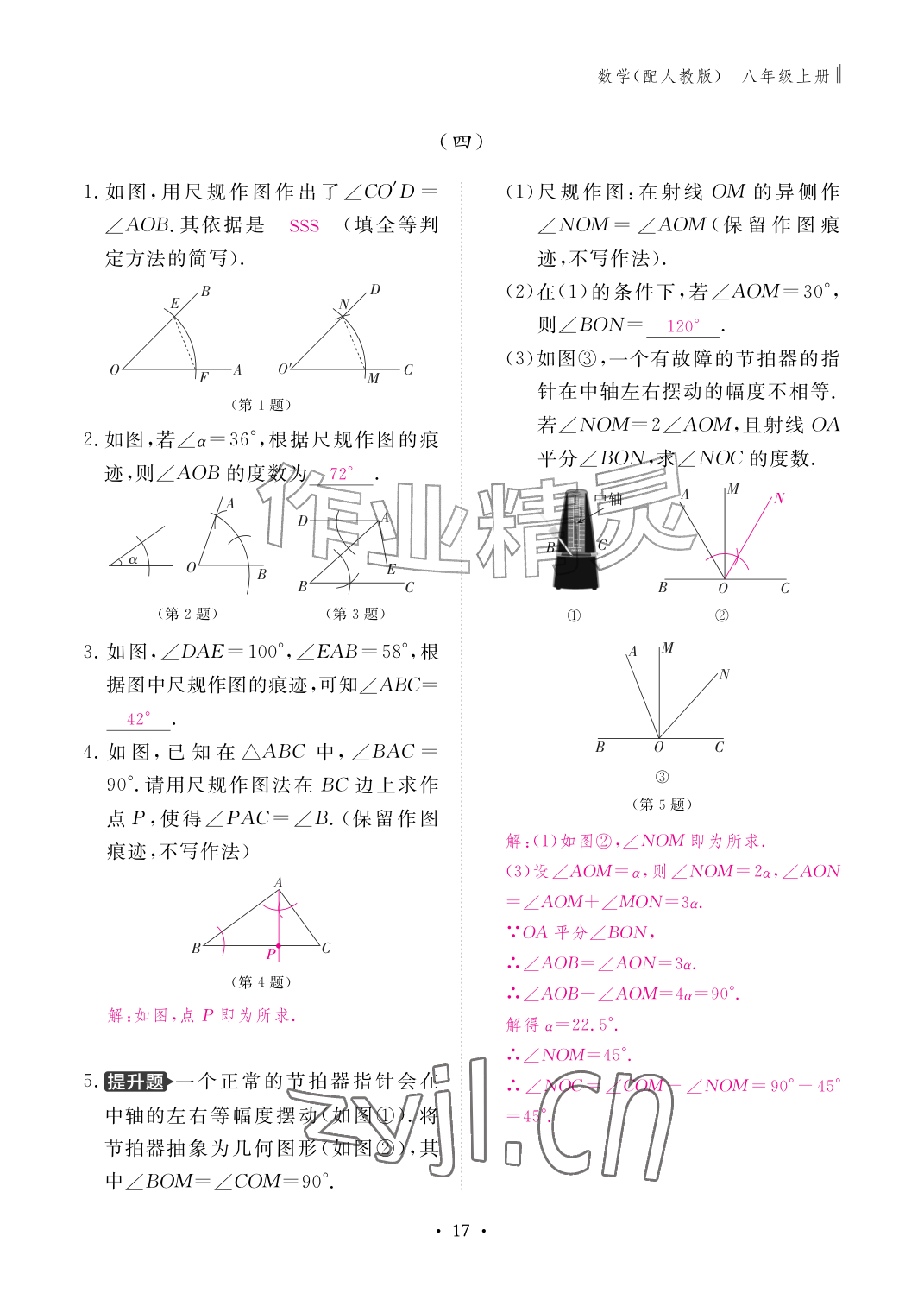 2026年作业本江西教育出版社八年级数学上册人教版&nbsp;参考答案第17页