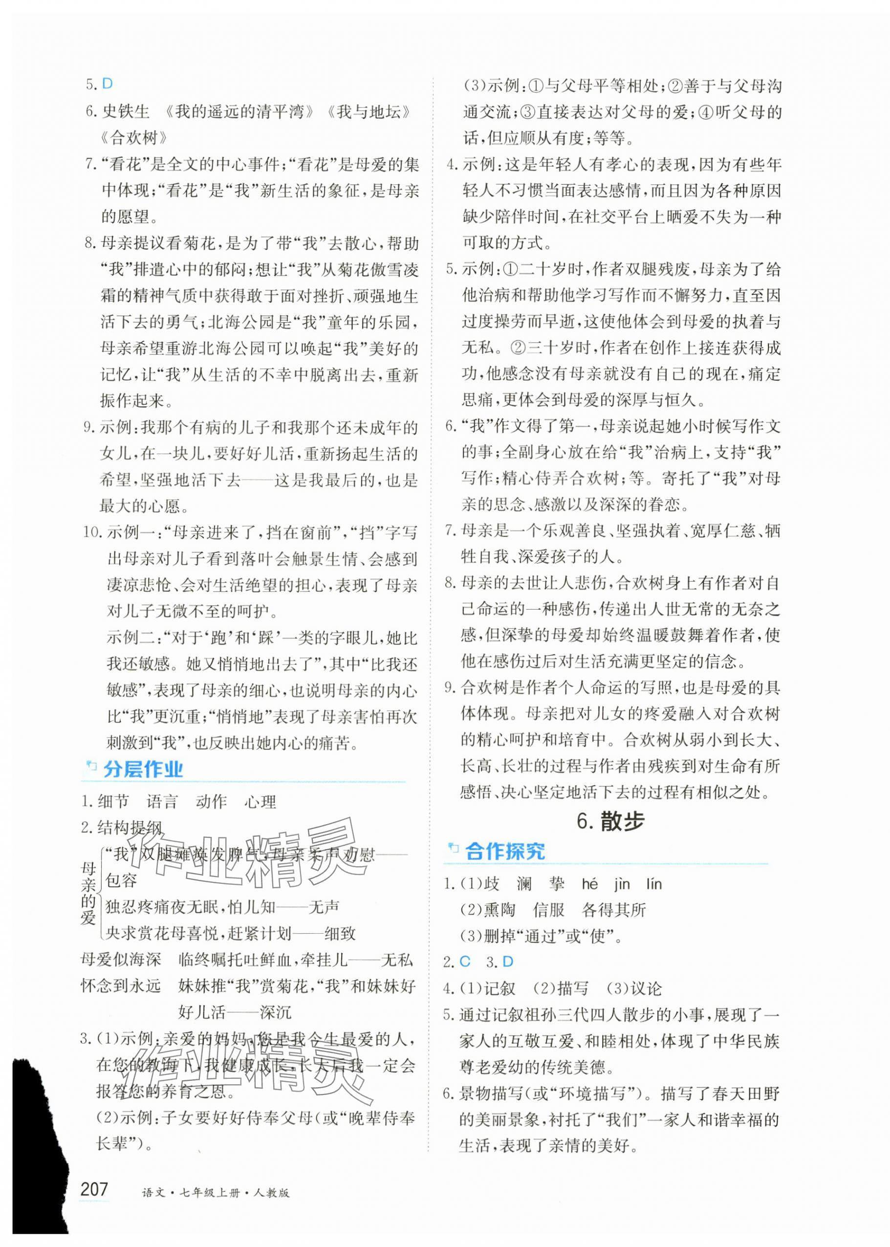 2024年资源与评价黑龙江教育出版社七年级语文上册人教版&nbsp;第5页