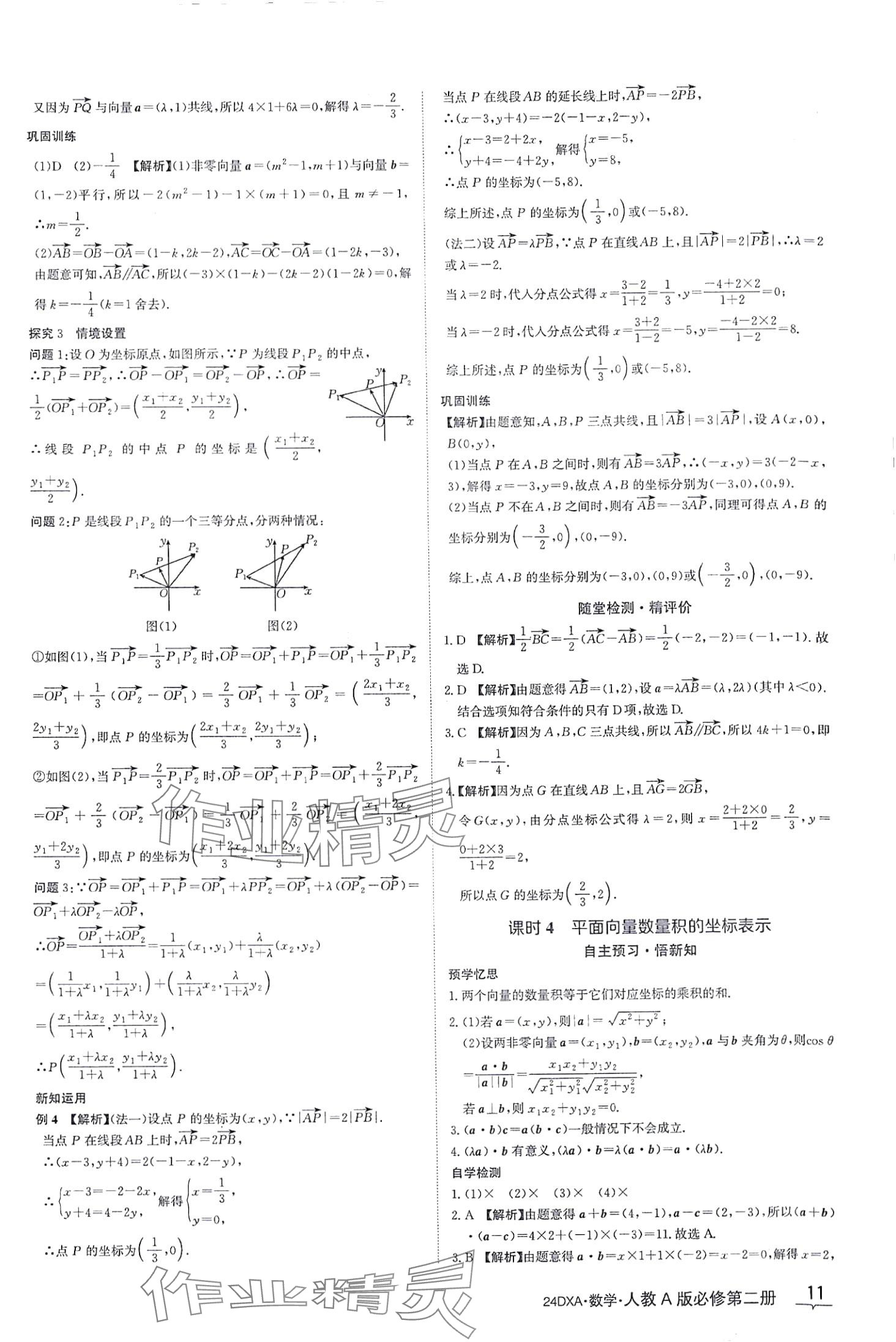 2024年金太阳导学案高中数学必修第二册人教版&nbsp;第11页