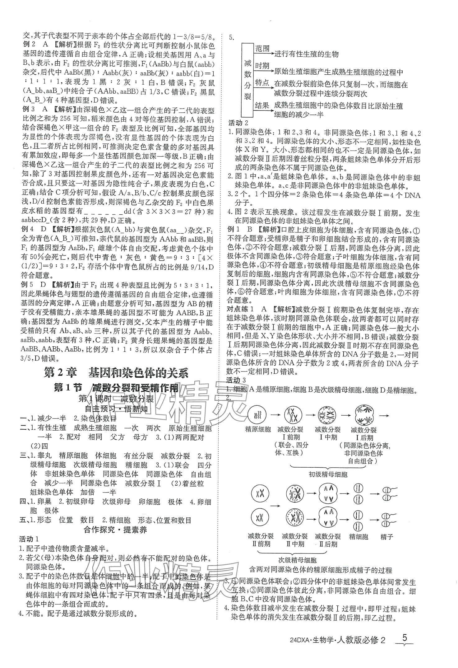 2024年金太阳导学案高中生物必修2人教版新教材&nbsp;第5页