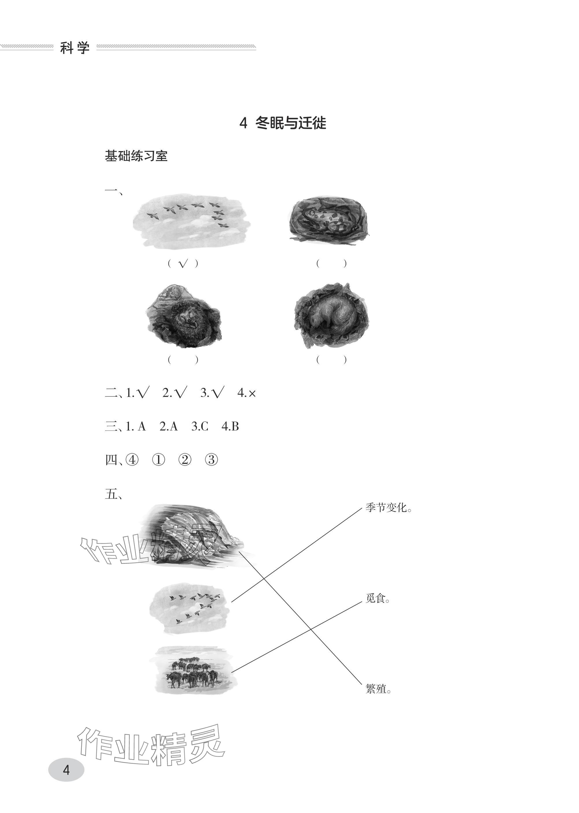 2024年同步练习册青岛出版社三年级科学上册青岛版&nbsp;参考答案第4页