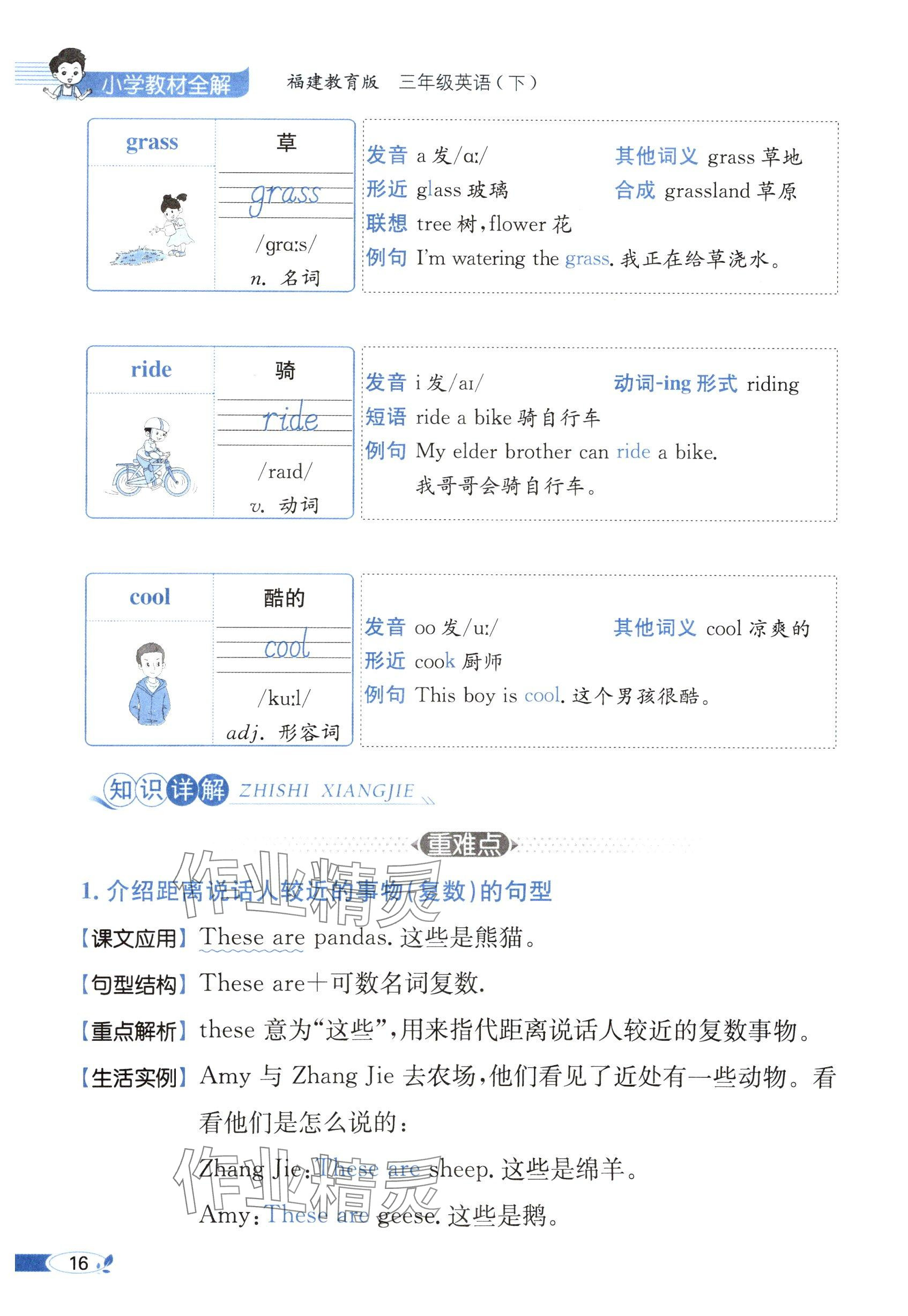 2025年教材课本三年级英语下册闽教版&nbsp;参考答案第16页