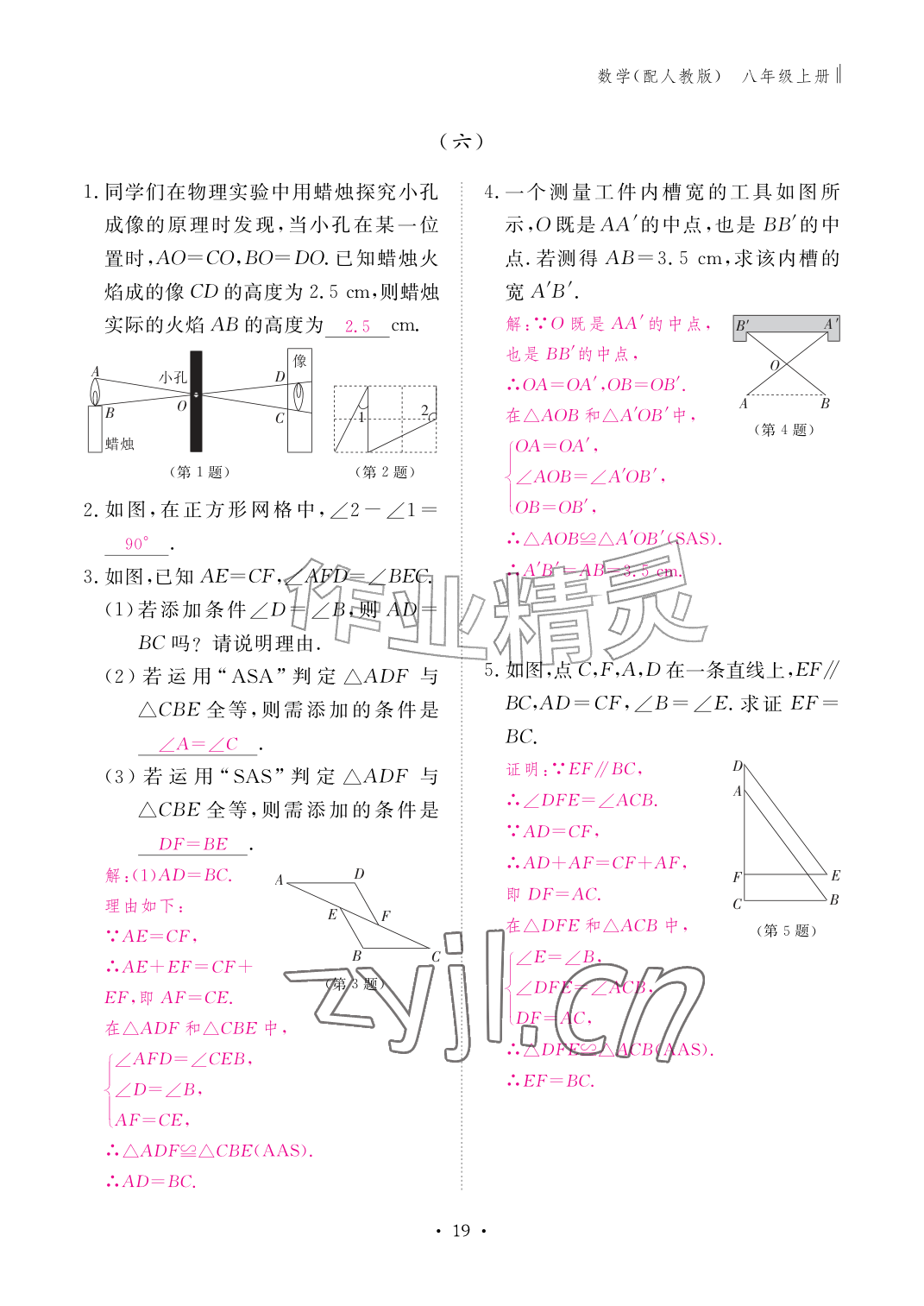 2026年作业本江西教育出版社八年级数学上册人教版&nbsp;参考答案第19页