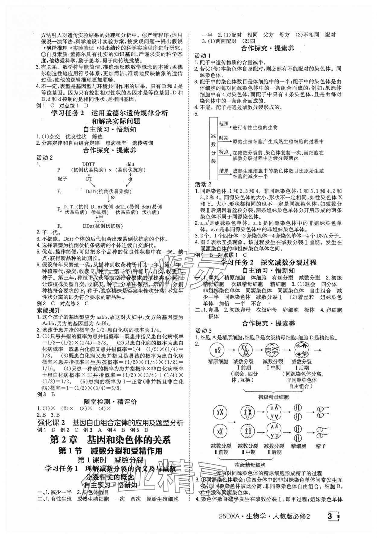 2025年金太阳导学案高中生物必修2人教版&nbsp;参考答案第3页