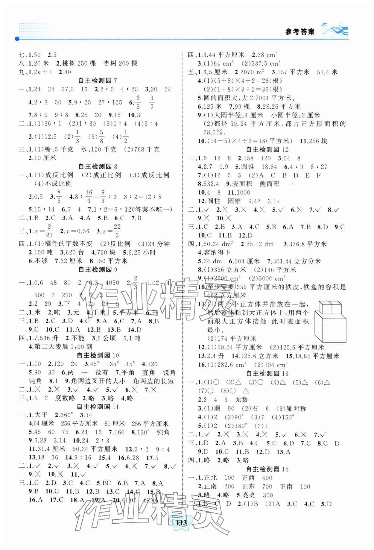 2024年大显身手小学知识总复习指导与检测数学人教版&nbsp;参考答案第2页