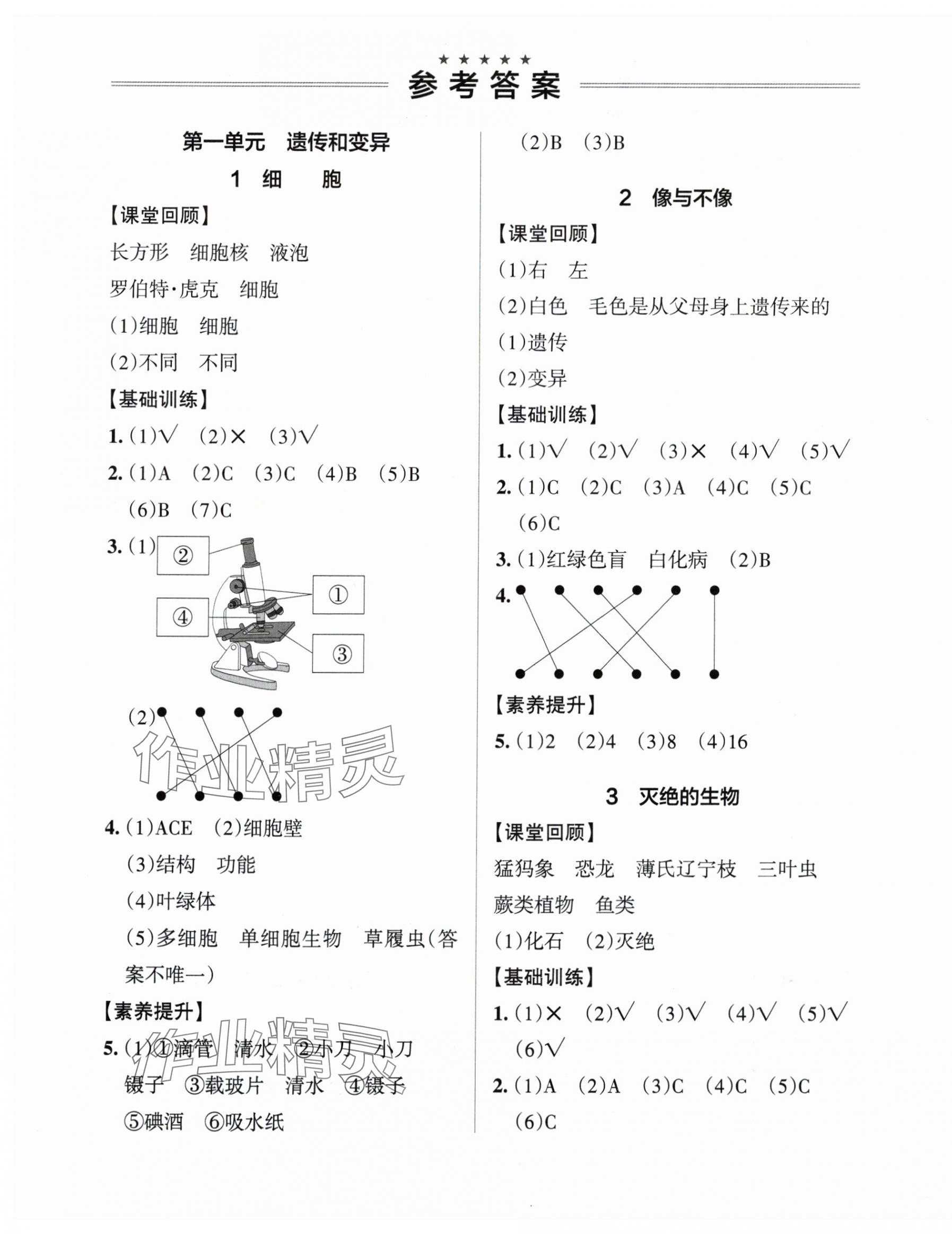 2025年小学学霸作业本六年级科学上册青岛版&nbsp;参考答案第1页