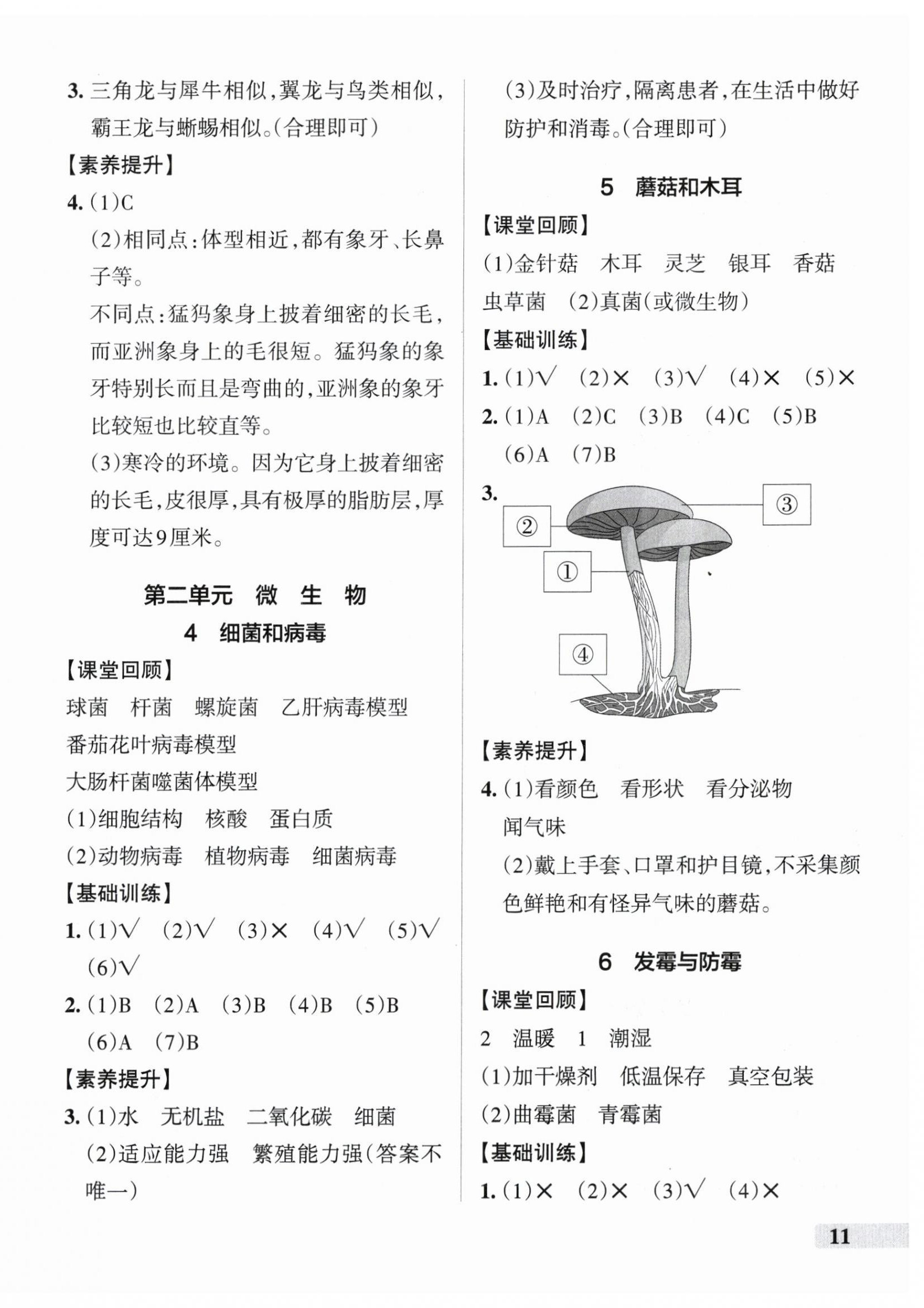 2025年小学学霸作业本六年级科学上册青岛版&nbsp;参考答案第2页