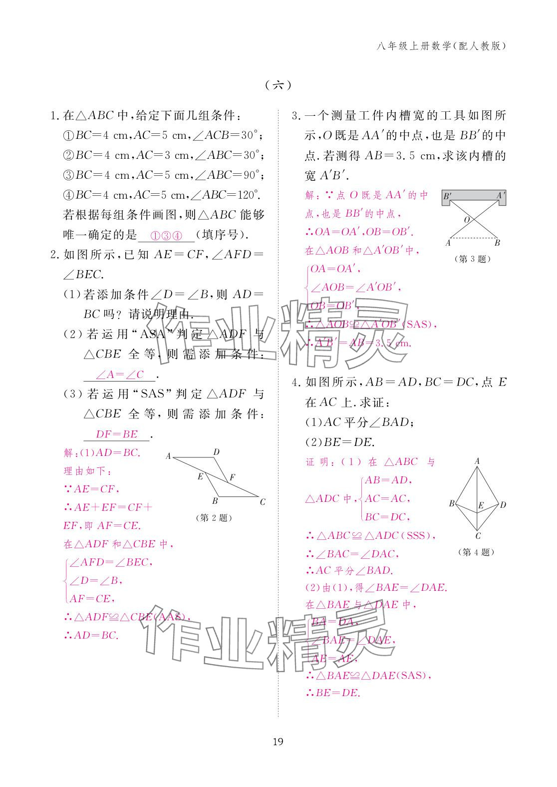 2025年作业本江西教育出版社八年级数学上册人教版&nbsp;参考答案第19页