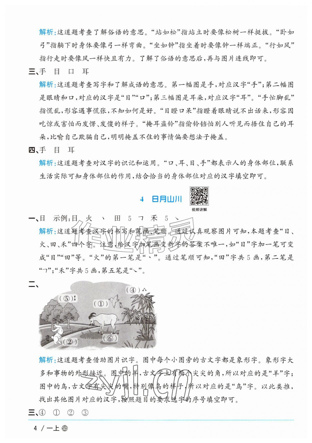 2026年阳光同学课时优化作业一年级语文上册人教版菏泽专版&nbsp;参考答案第4页