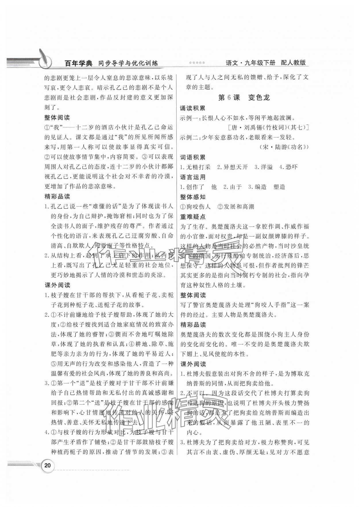 2025年同步导学与优化训练九年级语文下册人教版&nbsp;第4页