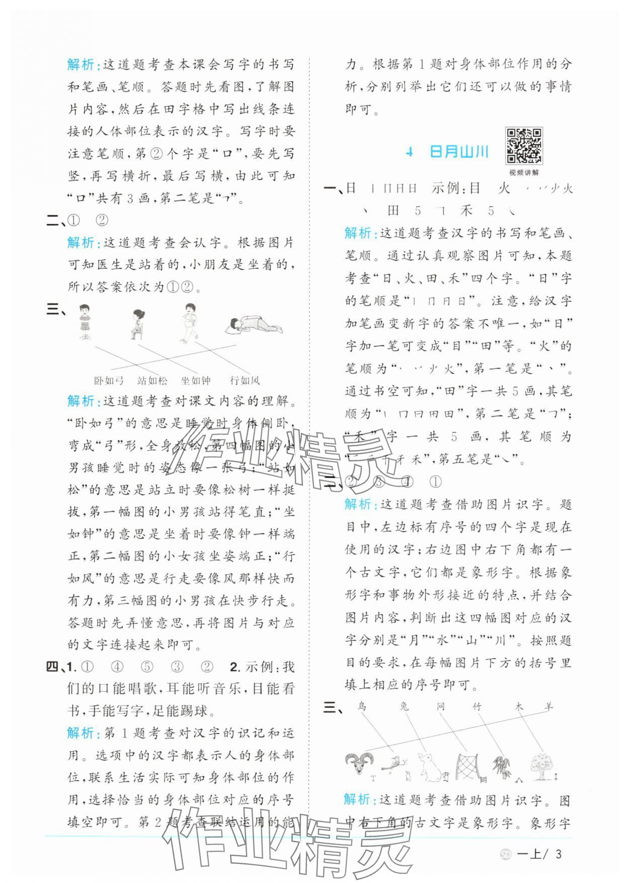 2024年阳光同学课时优化作业一年级语文上册人教版菏泽专版&nbsp;参考答案第3页