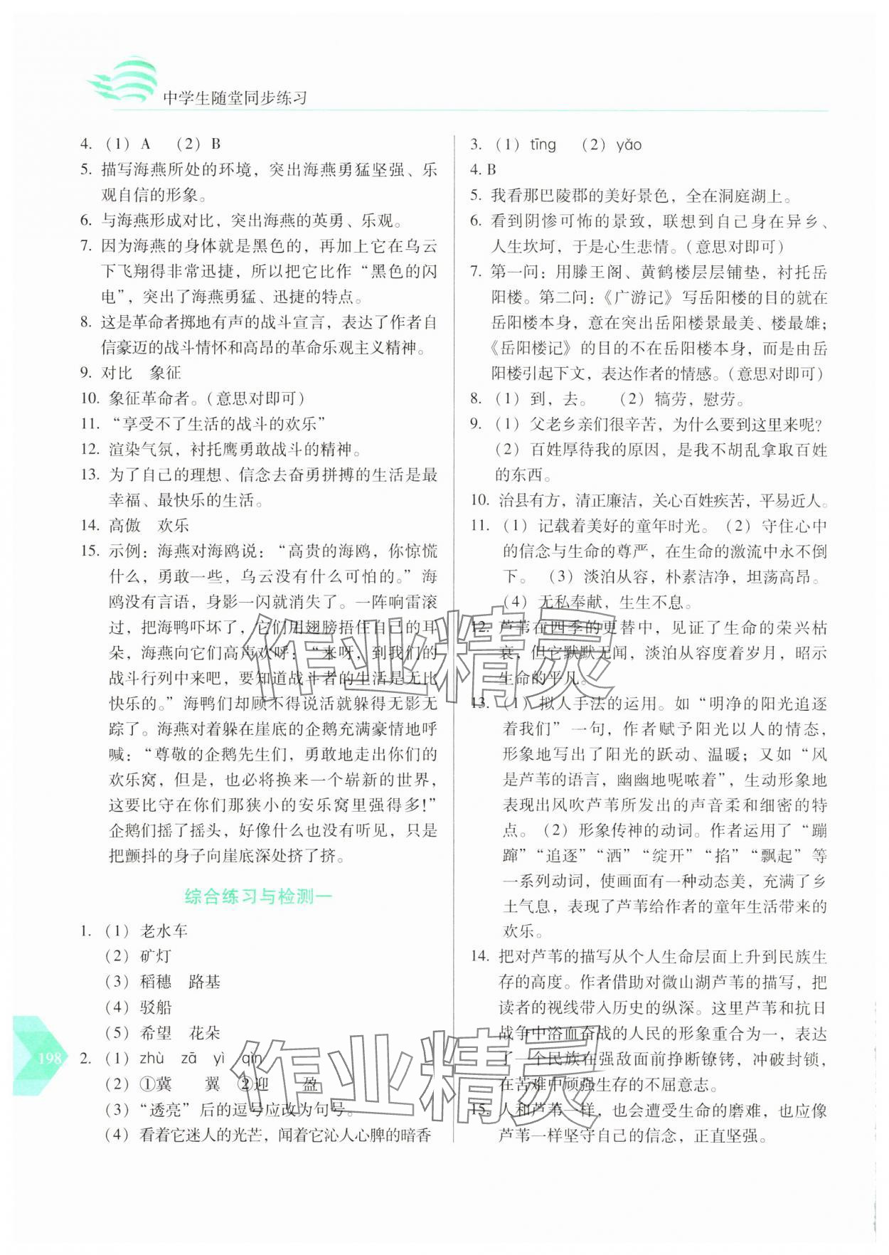 2025年随堂同步练习九年级语文下册人教版&nbsp;参考答案第3页