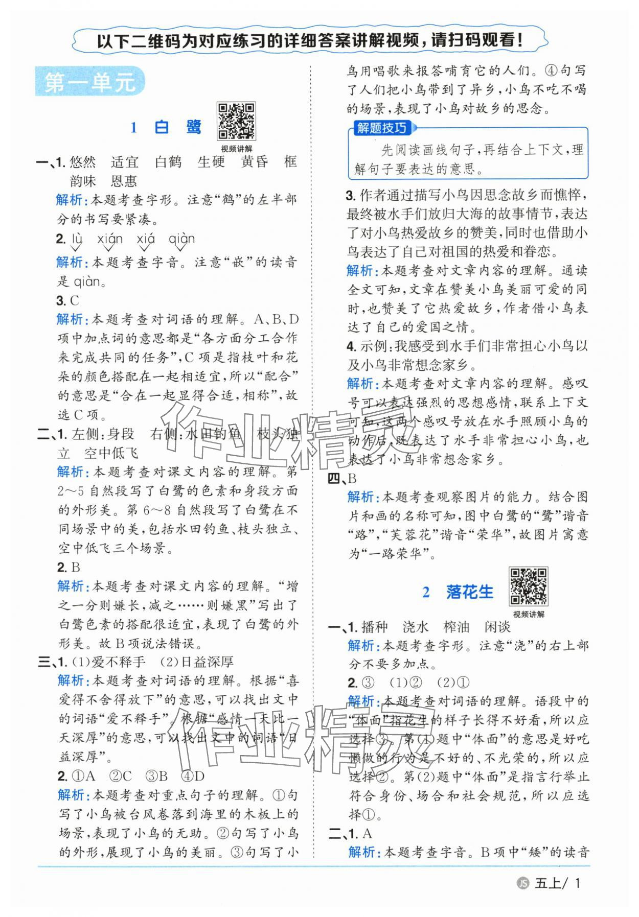 2025年阳光同学课时优化作业五年级语文上册人教版&nbsp;第1页