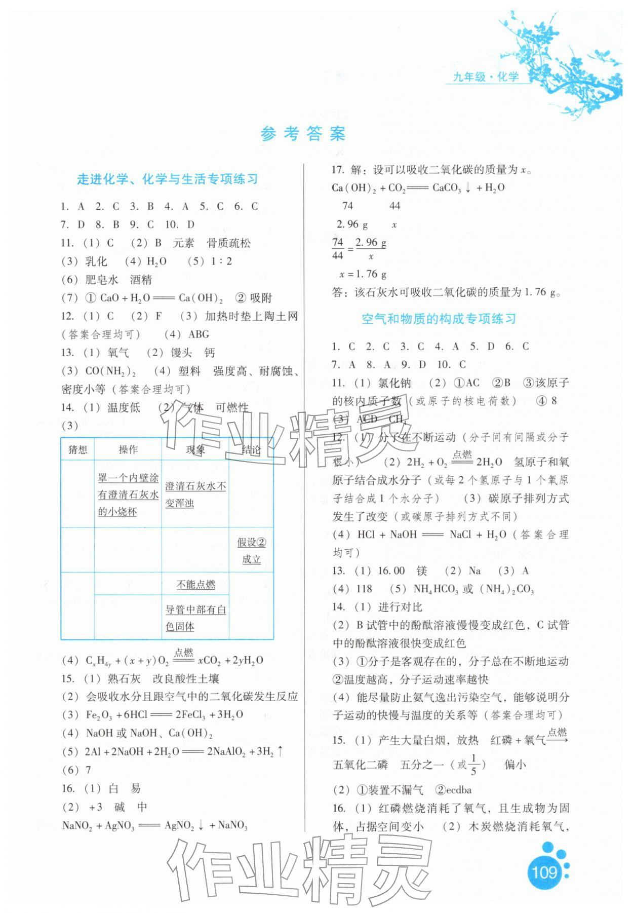 2026年寒假生活河北人民出版社九年级化学&nbsp;第1页