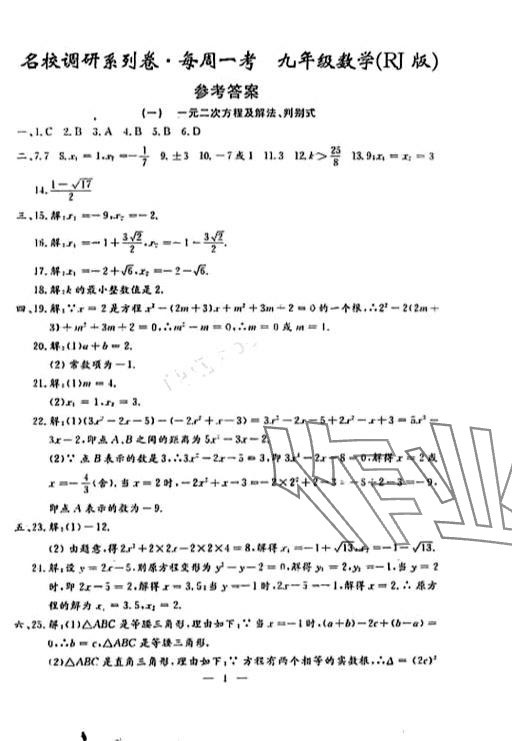 2024年名校调研系列卷每周一考九年级综合全一册人教版&nbsp;第17页
