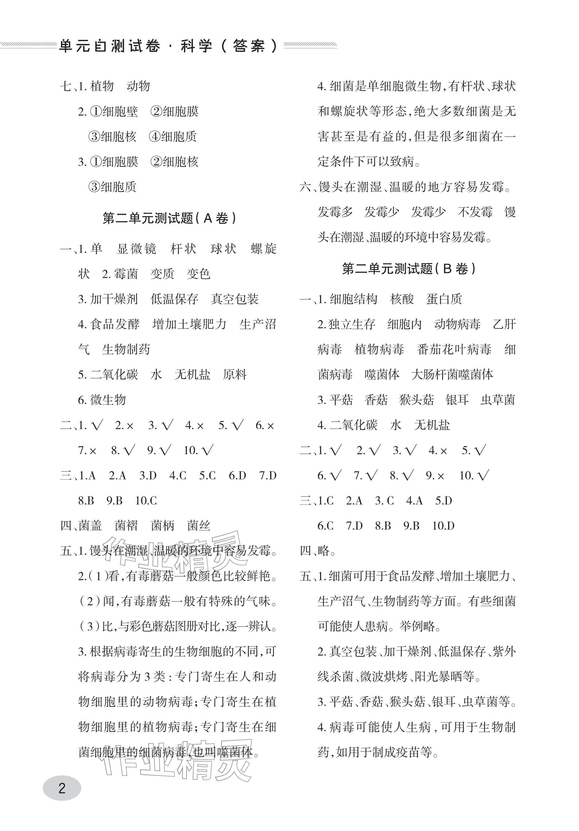 2025年单元自测试卷青岛出版社六年级科学上册青岛版&nbsp;参考答案第2页