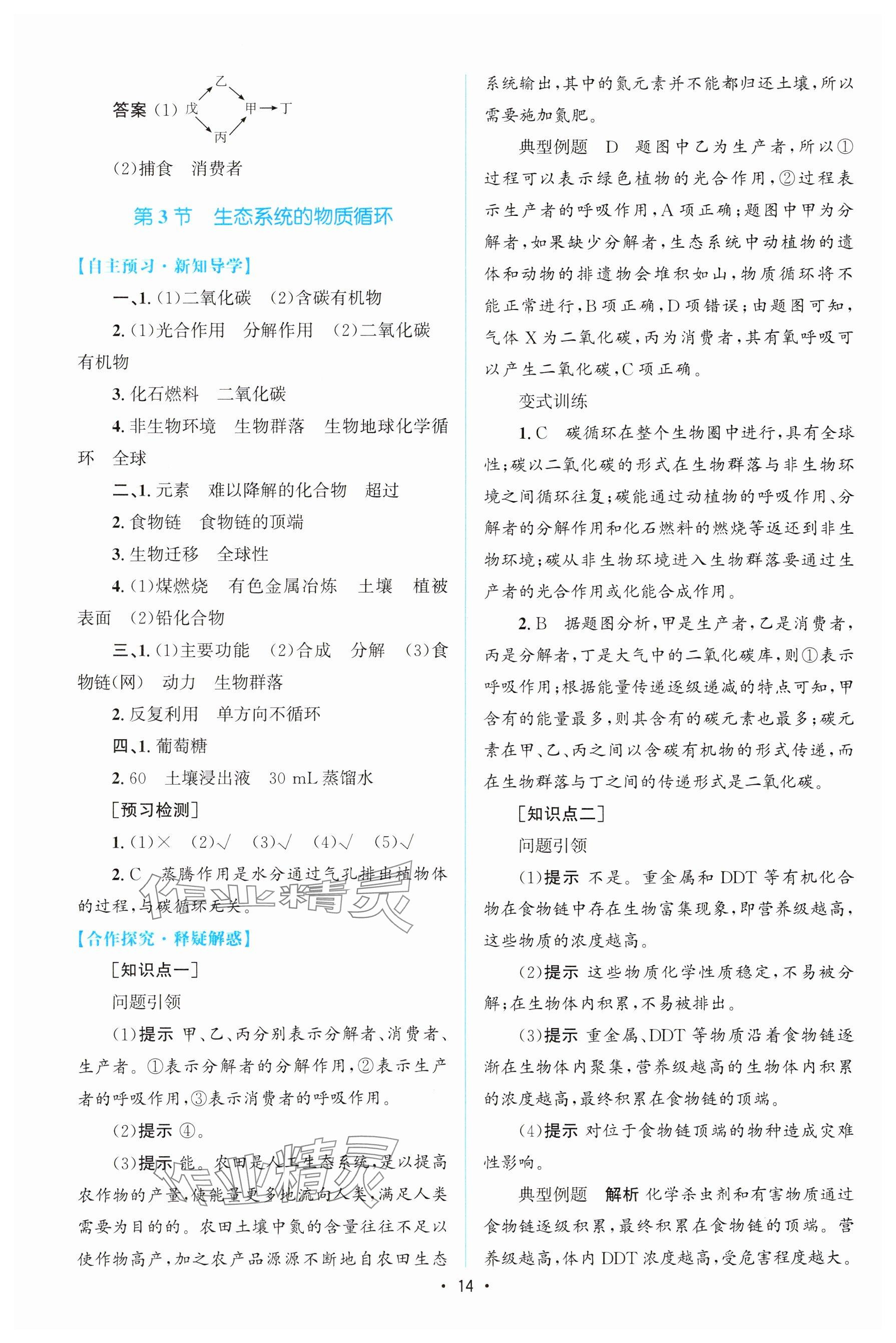 2023年高中同步测控优化设计高中生物选择性必修第二册人教版增强版&nbsp;参考答案第13页