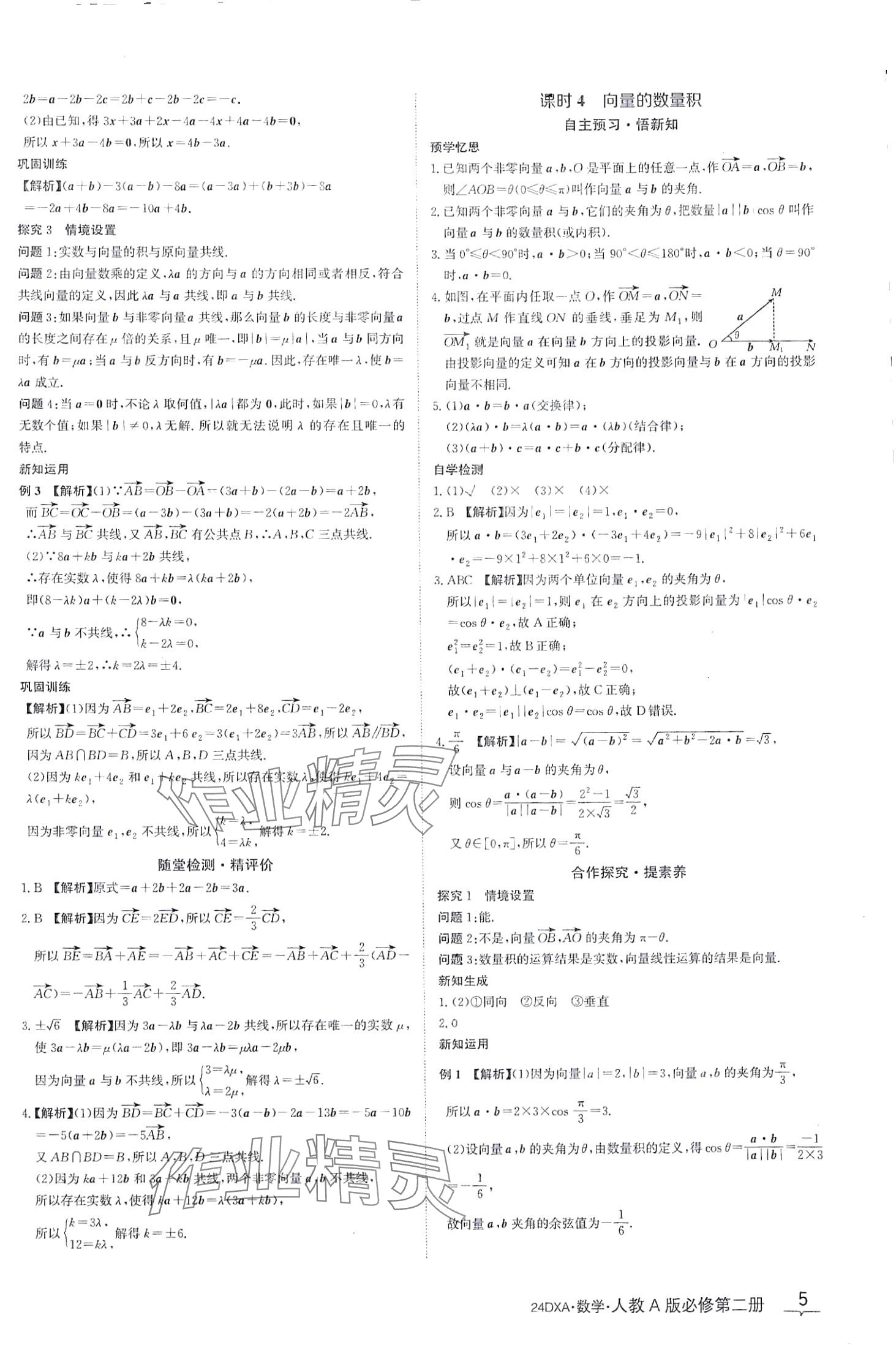 2024年金太阳导学案高中数学必修第二册人教版&nbsp;第5页
