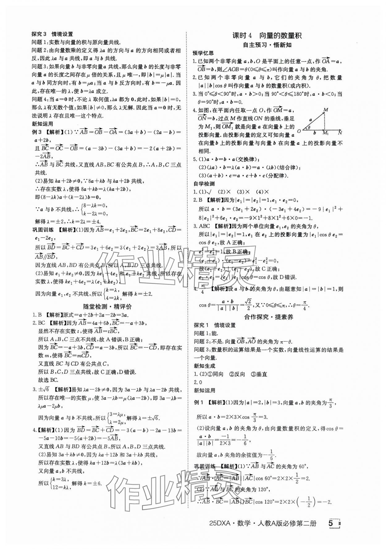 2025年金太阳导学案数学必修第二册人教版A版&nbsp;参考答案第5页