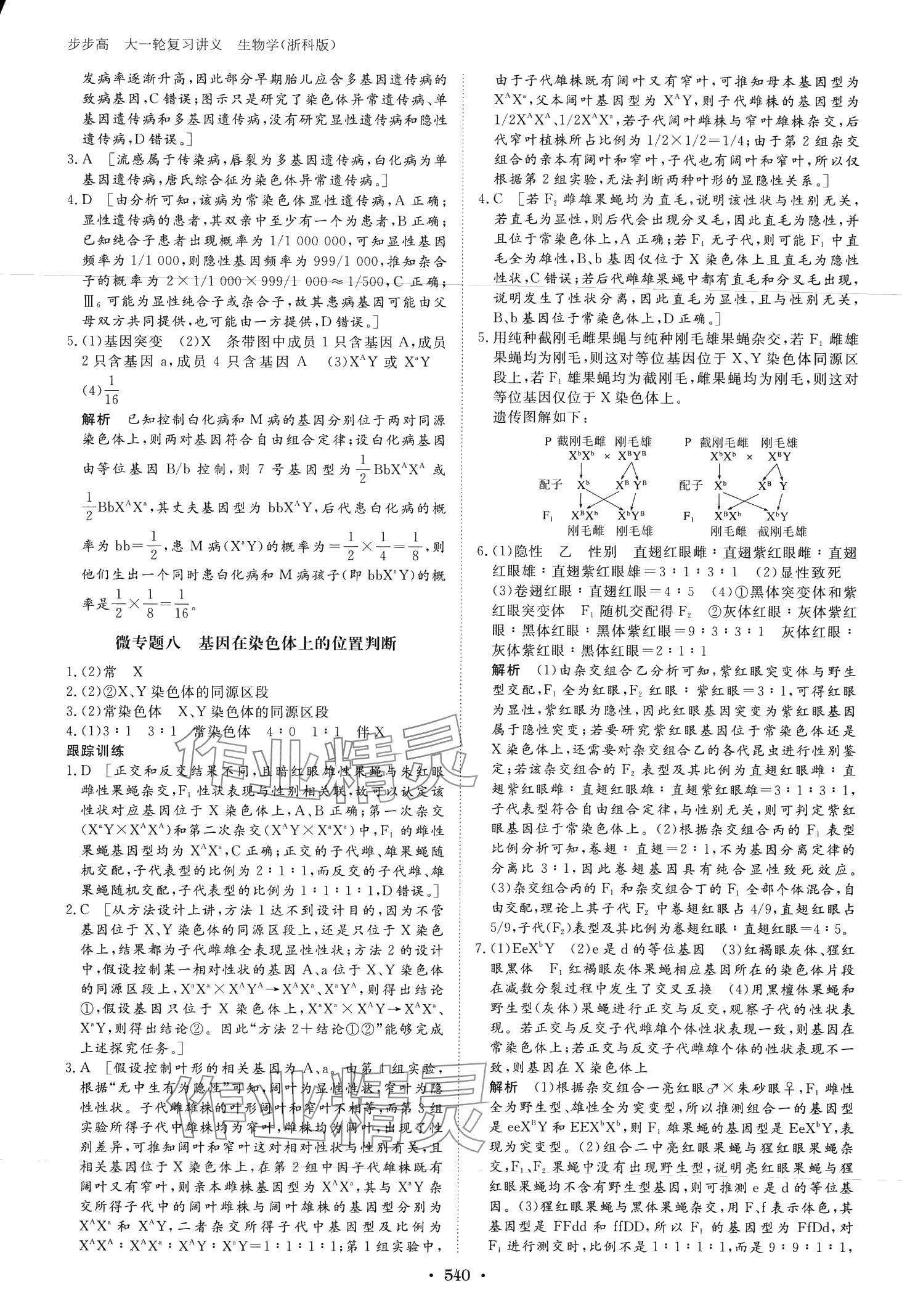 2024年步步高大一轮复习讲义高中生物浙科版&nbsp;第30页
