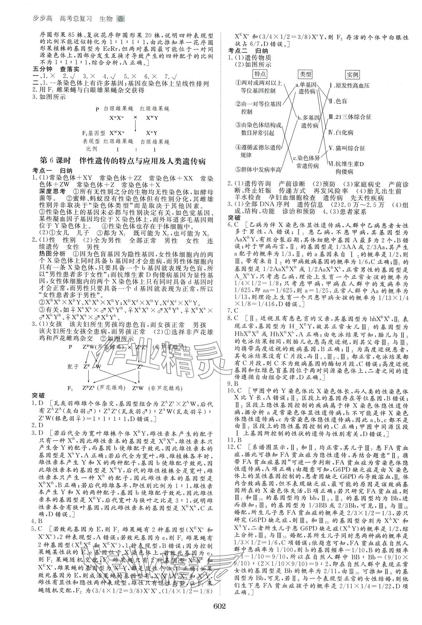 2024年步步高高考总复习大一轮复习讲义高中生物通用版&nbsp;第18页