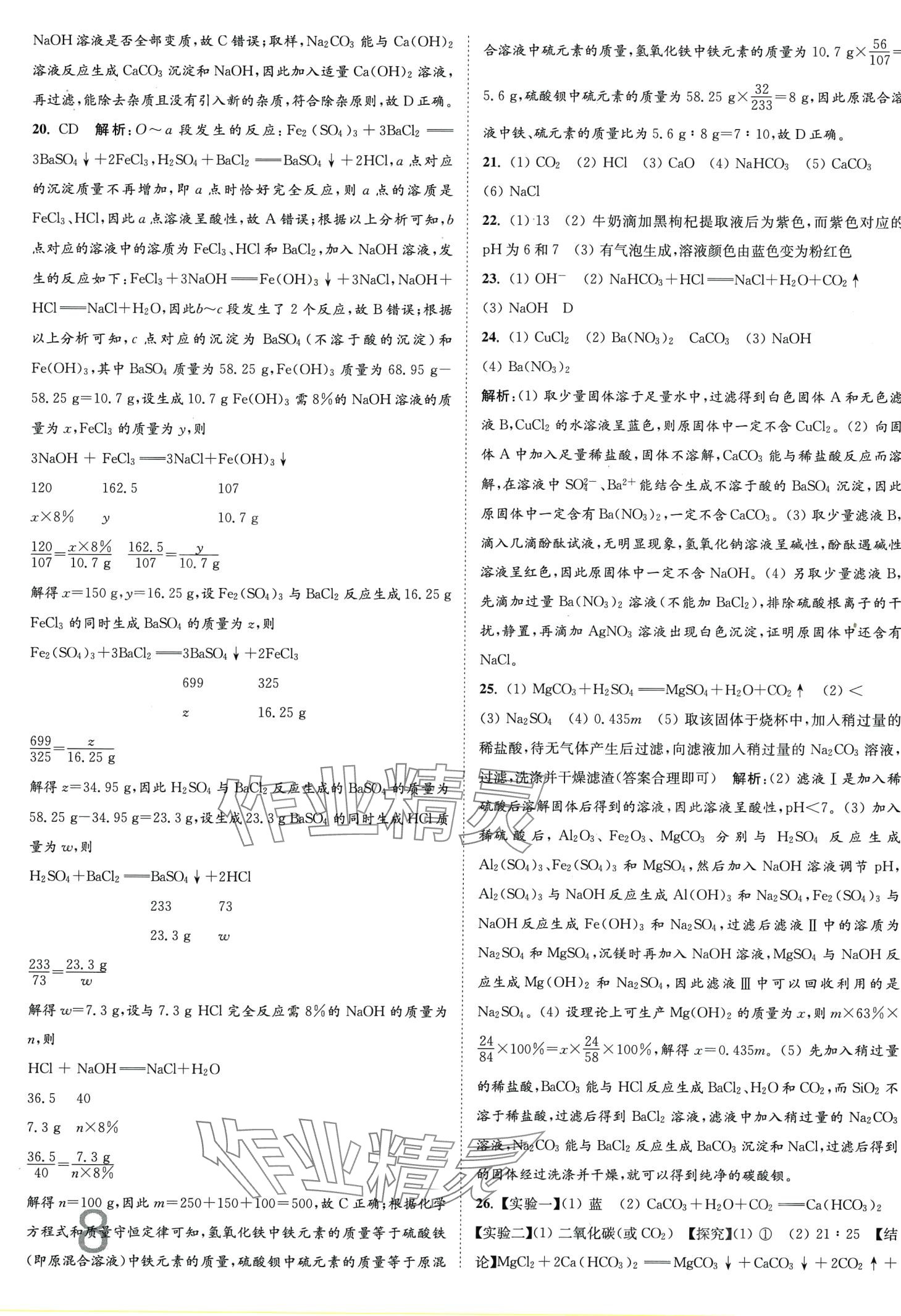 2024年江苏密卷九年级化学下册沪教版&nbsp;第8页