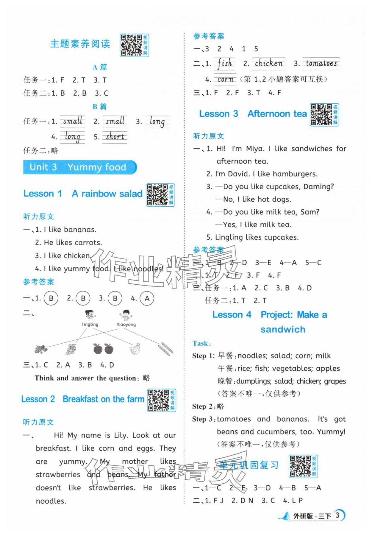 2025年阳光同学课时优化作业三年级英语下册外研版&nbsp;第3页