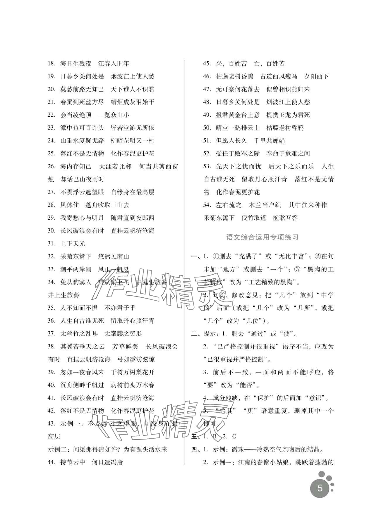 2024年寒假生活河北人民出版社九年级语文&nbsp;第5页